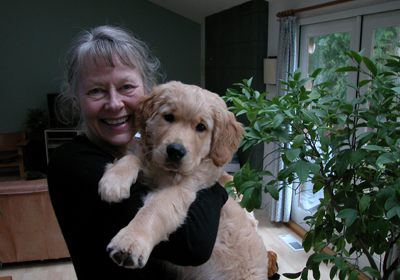 Teddy as a puppy