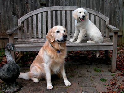 Thomas and his son Bounty